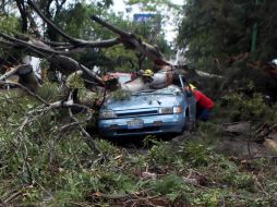 Si se recibe una afectación por causas naturales, se debe dejar el auto en esas condiciones para que la cobertura sea válida. ARCHIVO /