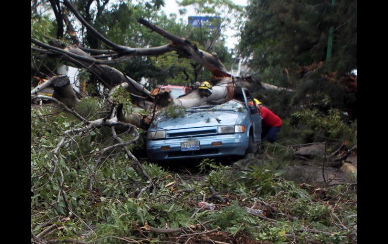 Si se recibe una afectación por causas naturales, se debe dejar el auto en esas condiciones para que la cobertura sea válida. ARCHIVO /