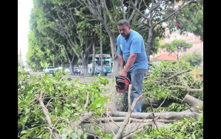 Mariano Otero aún lucía ayer un paisaje de árboles tirados. Hubo 89 semáforos dañados en toda la ciudad. EL INFORMADOR /