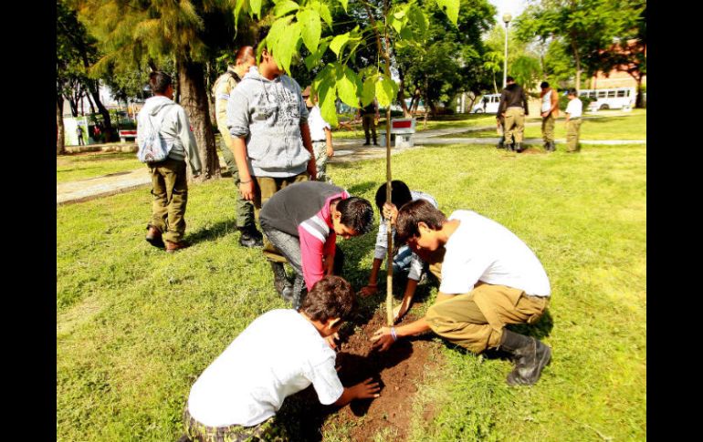 El proyecto que actualmente lleva a cabo Extra, llamado Bosque urbano, es una estrategia de suma importancia para la asociación. ARCHIVO /