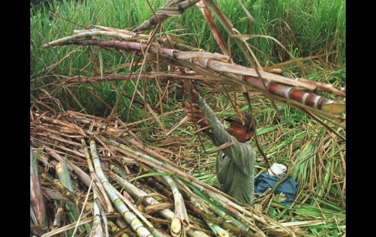 Los productores de caña expusieron el recrudecimiento de la crisis en Atencingo. ARCHIVO /