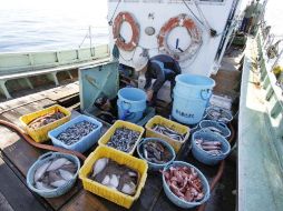 El pesquero Ebisu Maru monitorea la radiactividad de la pesca en las cercanías de Fukushima. AP /