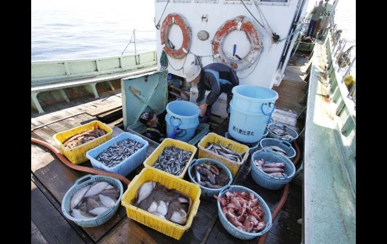 El pesquero Ebisu Maru monitorea la radiactividad de la pesca en las cercanías de Fukushima. AP /