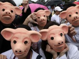 Denuncian el uso de fondos especiales, conocidos popularmente como el ''pork barrell'', que son empleados por los parlamentarios. EFE /