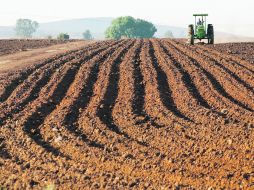 El CAJ señala como amenazas para el agro el aumento en la degradación de la tierra y una disminución de la tierra cultivada. EL INFORMADOR /