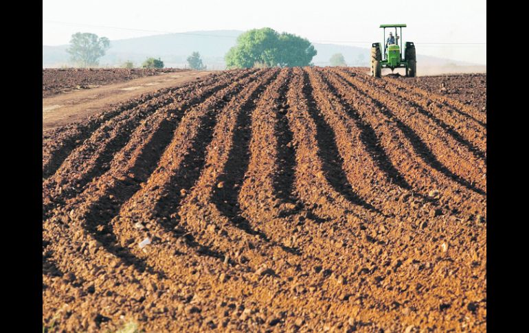 El CAJ señala como amenazas para el agro el aumento en la degradación de la tierra y una disminución de la tierra cultivada. EL INFORMADOR /