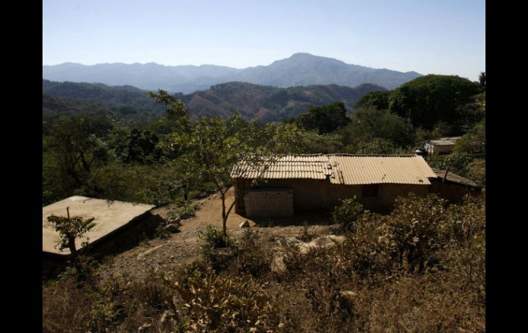 El líder comunero pide a la autoridad garantizar la seguridad pública de los habitantes  de Ayotitlán. ARCHIVO /