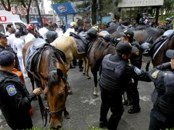 Los ejemplares fueron capturados y atendidos por personal de la SSPDF. SUN /