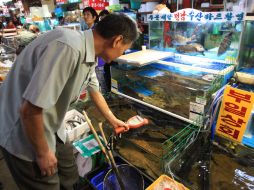 Un inspector emplea un contador Geiger hoy, en un mercado coreano. AP /