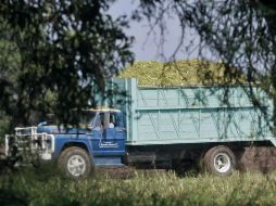 La producción de granos, oleaginosas, frutas, legumbres y caña de azúcar creció 102 millones de toneladas. ARCHIVO /