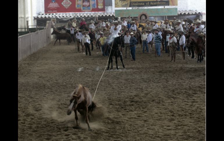 El próximo lunes será la doble final a las 12:00 y 16:00 horas.  /