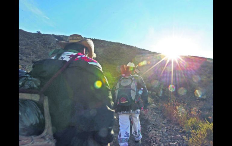 El territorio de Wirikuta fue incluido por la  Unesco en su Red Mundial de Sitios Sagrados Naturales desde 1988. EL INFORMADOR /