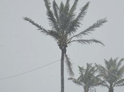 La tormenta tropical ''Ingrid'' pasa a ser huracán de cateogría 1, y se estima que su centro toque pronto las costas de Tamaulipas. EFE /