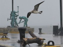 Veracruz ha sido uno de los estados más afectados en este temporal. EFE /