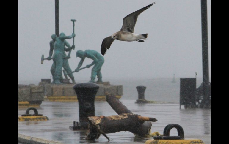 Veracruz ha sido uno de los estados más afectados en este temporal. EFE /