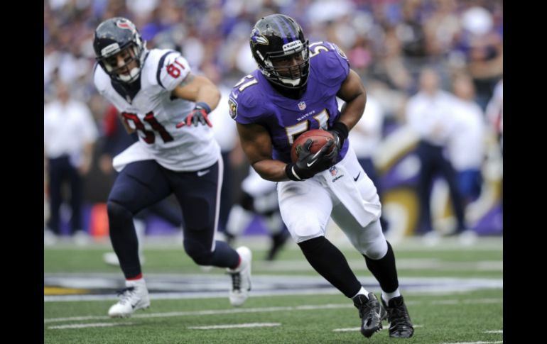 Daryl Smith (51) intercepta un pase y lo lleva a las diagonales,en la victoria de los Cuervos. AP /