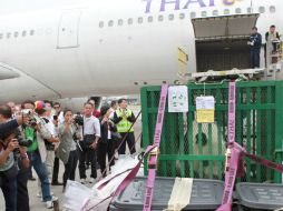 La osa panda Lin Ping abordó un avión bautizado como ''Vuelo de amor''. EFE /