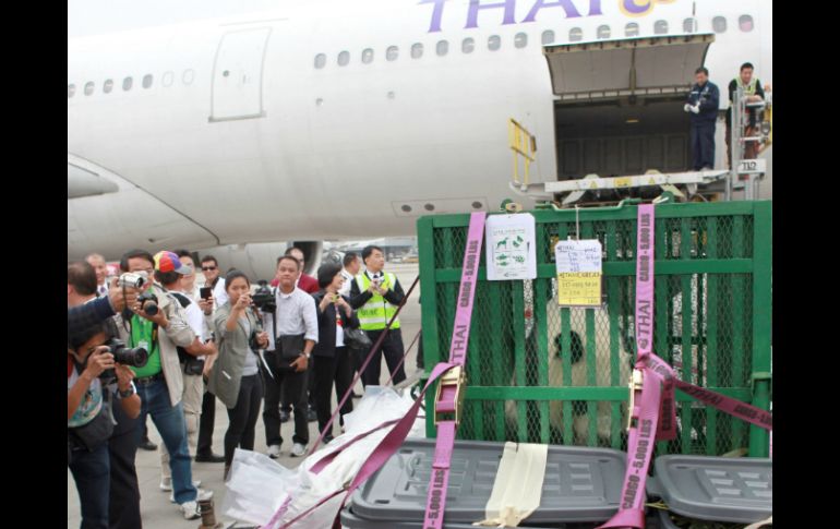 La osa panda Lin Ping abordó un avión bautizado como ''Vuelo de amor''. EFE /