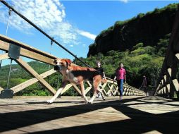 El reconstruido puente vuelve a llenarse de vida con los visitantes que, por el momento, sólo pueden recorrerlo los fines de semana. EL INFORMADOR /