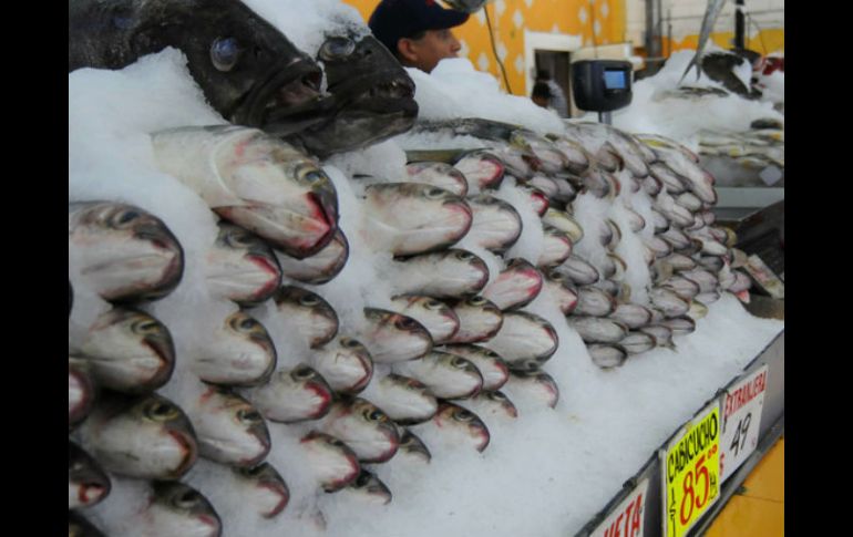 Entre los consejos está que los ojos del pescado  deben ser brillantes y transparentes. ARCHIVO  /