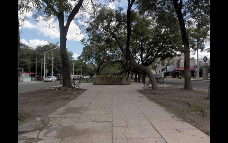 REHABILITACIÓN PENDIENTE. Así luce el lado sur del camellón de la Avenida Chapultepec, en Guadalajara. EL INFORMADOR /