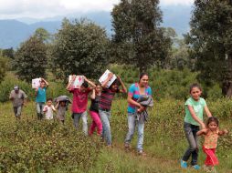 La ayuda para damnificados no proviene sólo de instancias oficiales, organizaciones civiles y ciudadanía también participan. ARCHIVO /