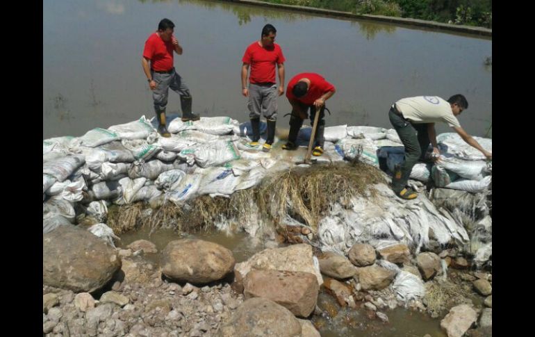 En la imagen, trabajos de prevención en la presa San Antonio.  /