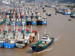 Barcos de pesca fueron atracados en el puerto de Zhoushan para evitar el poderoso tifón Fitow en la provincia de Zhejian. AFP /