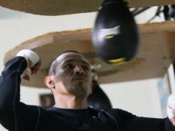 Orlando Salido buscará ante Orlando Cruz el volver a ser monarca del boxeo. ARCHIVO /