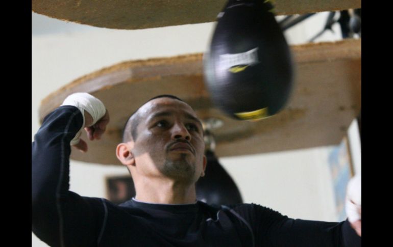 Orlando Salido buscará ante Orlando Cruz el volver a ser monarca del boxeo. ARCHIVO /