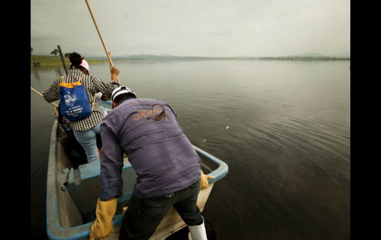 Los cinco aireadores que la CEA colocó en junio han ayudado a para que la calidad del agua en la presa mejore. ARCHIVO /