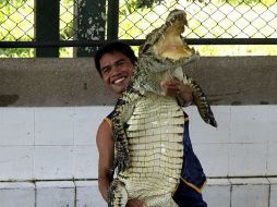 Con la banda sonora de ''Superman'' de fondo, los dos domadores entran en un foso de agua con doce animales. EFE /