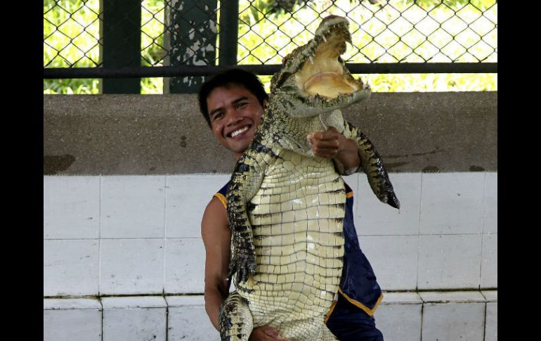 Con la banda sonora de ''Superman'' de fondo, los dos domadores entran en un foso de agua con doce animales. EFE /