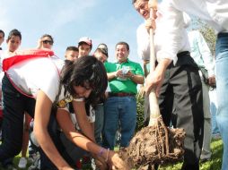 Se planea reponer los 849 ejemplares dañados por los trabajos y maniobras. ESPECIAL /