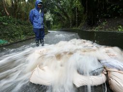 Hasta el momento se registra que han caído en  Oshima 24.5 milímetros de lluvia por hora. AP /