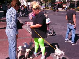 Varias personas que cuentan con mascotas se acercaron a apoyarlos.  /