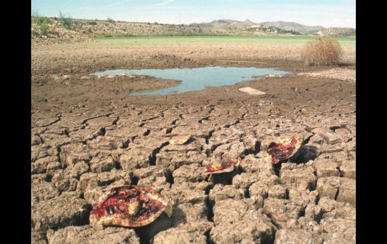 Más de la mitad del territorio ha perdido productividad, actualmente existe un millón de hectáreas de tierra ociosa. ARCHIVO /