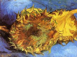 Los admirados girasoles fueron pintados en 1888 por Vincent Van Gogh. ESPECIAL /