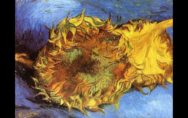 Los admirados girasoles fueron pintados en 1888 por Vincent Van Gogh. ESPECIAL /