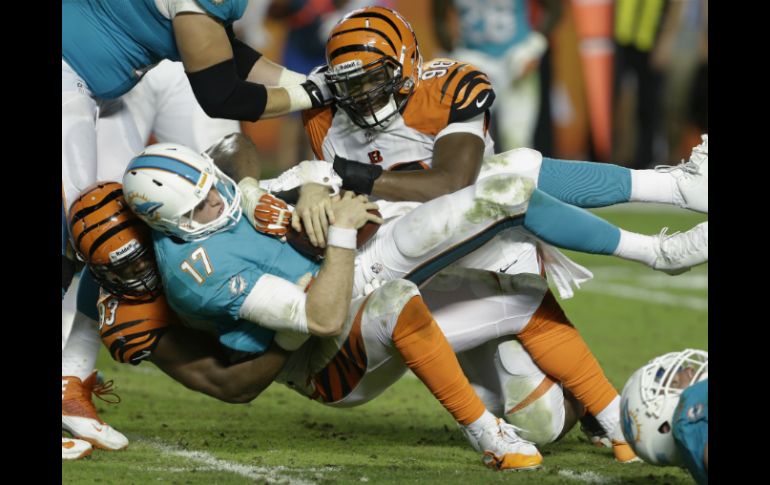 El quarterback de Delfines Ryan Tannehill, es tacleado por Carlos Dunlap y Michael Johnson de Bengalíes. AP /