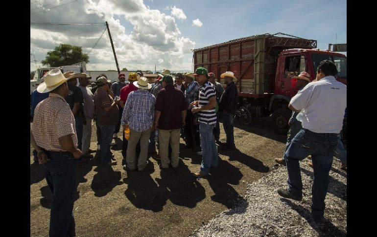 El lunes y el martes productores del cereal bloquearon carreteras, ante la inconformidad por un pago injusto del grano.  /