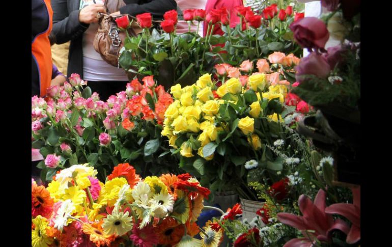 Más de 16 mil flores y plantas se tejerán para esta alfombra de mil 700 metros cuadrados. ARCHIVO /