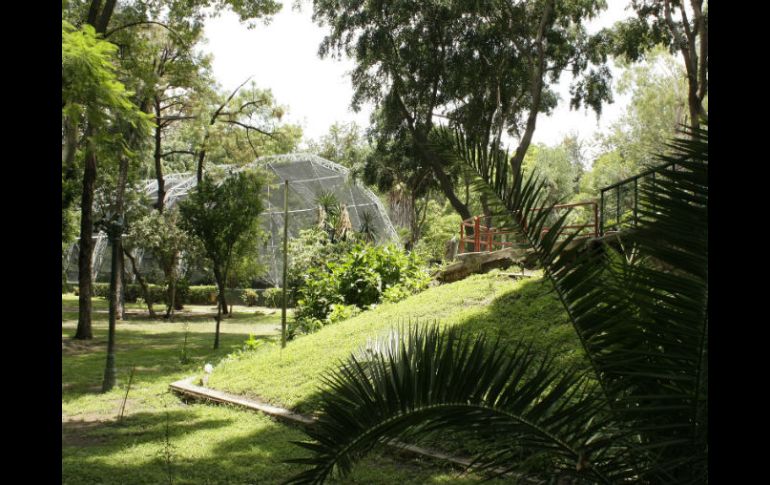 El Ayuntamiento tapatío ha informado que trabaja en el diseño de una licitación pública para ceder fracción Norte del Parque Agua Azul. ARCHIVO /