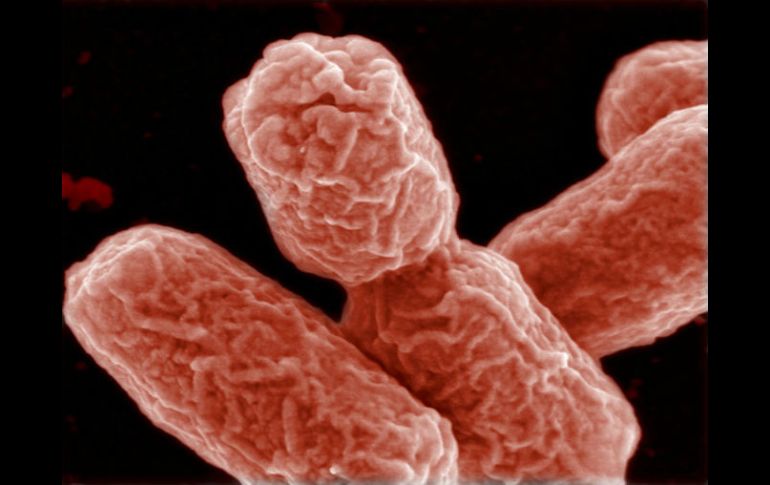 La identificación de este gen contribuirá a que los científicos puedan detectar los tipos de cáncer con capacidad de propagación. ARCHIVO /