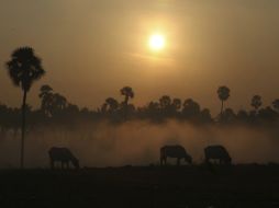 Hace falta tomar más medidas para combatir los estragos provocados por el cambio climático. ARCHIVO /