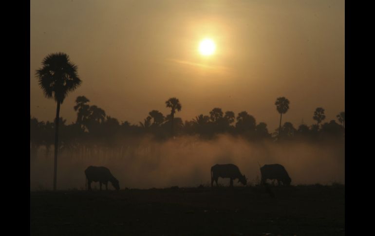 Hace falta tomar más medidas para combatir los estragos provocados por el cambio climático. ARCHIVO /