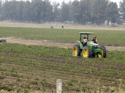 Resaltan liderazgo de Jalisco en producción de alimentos como clave para competitividad. ARCHIVO /