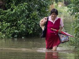 Veracruz y Tabasco fueron los estados más afectados por las inundaciones y provocadas por el frente frio 12. ARCHIVO /