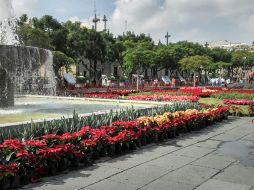 Imagen del tapete floral que se colocó en la explanada de la Plaza Liberación. ESPECIAL /