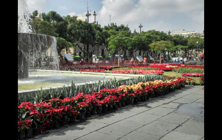 Imagen del tapete floral que se colocó en la explanada de la Plaza Liberación. ESPECIAL /